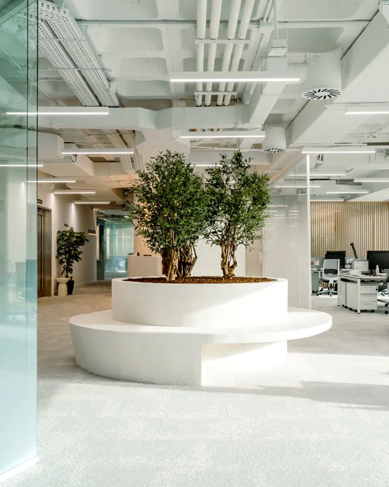 Oficinas para Metrovacesa